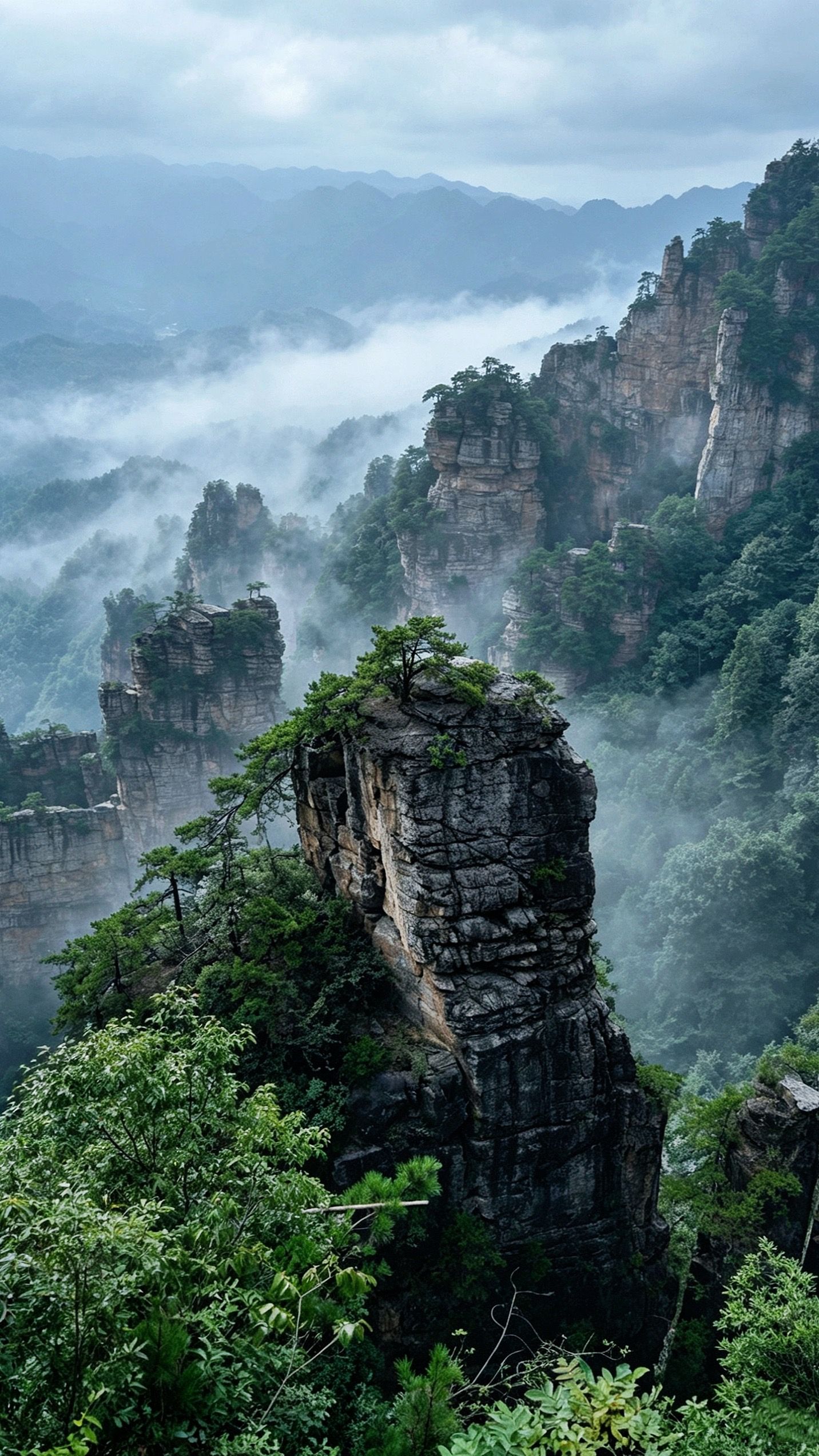 张家界峰林谷地林木葱郁