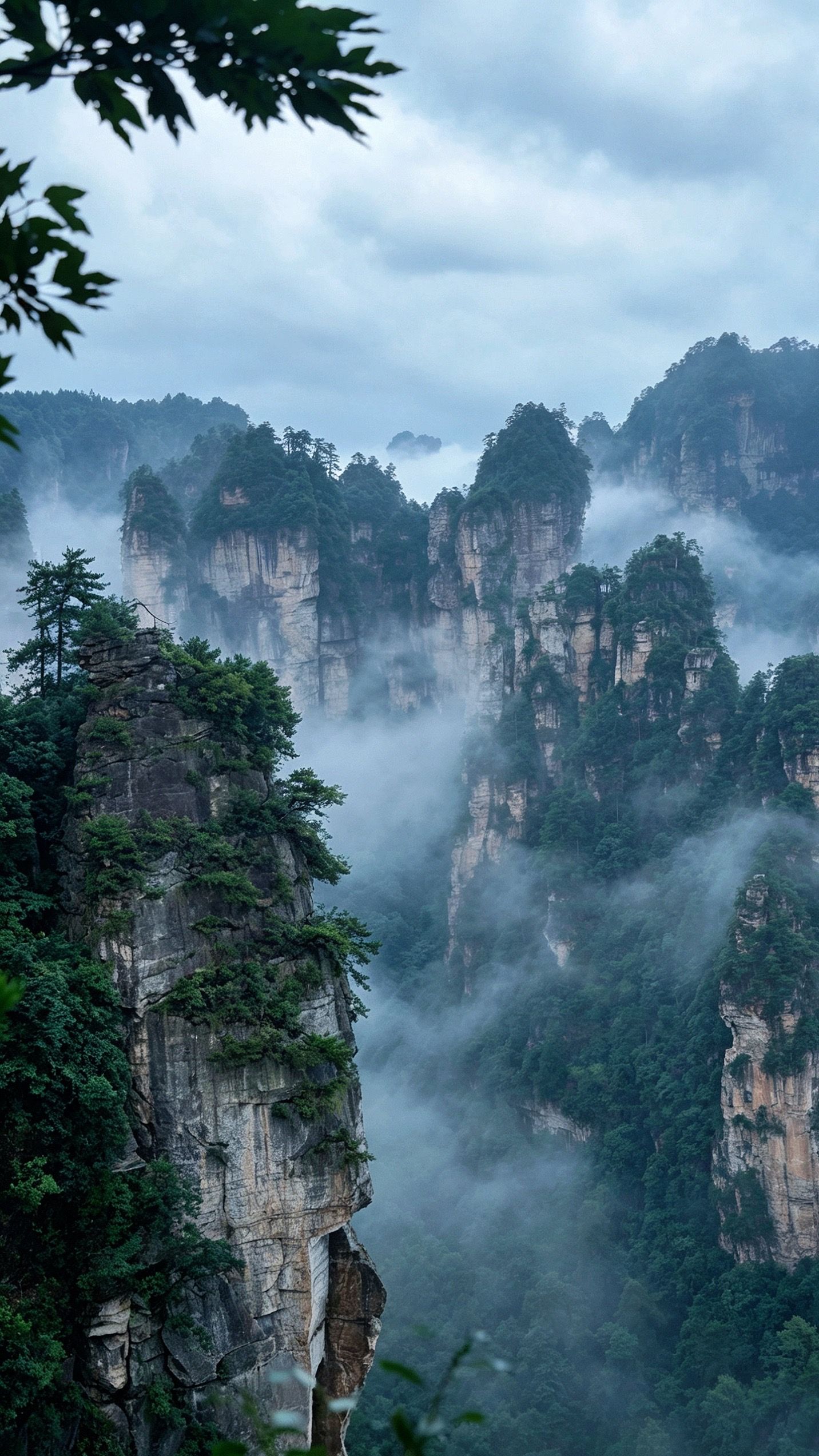 张家界武陵源石英砂岩峰林