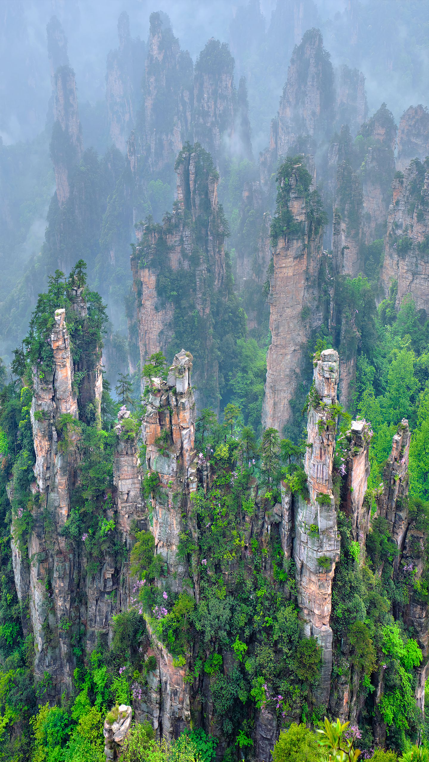 张家界峰林与土家山乡风光